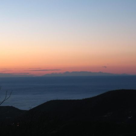 Casa Vacanze L'Agrifoglio Bed & Breakfast Magliolo Eksteriør bilde