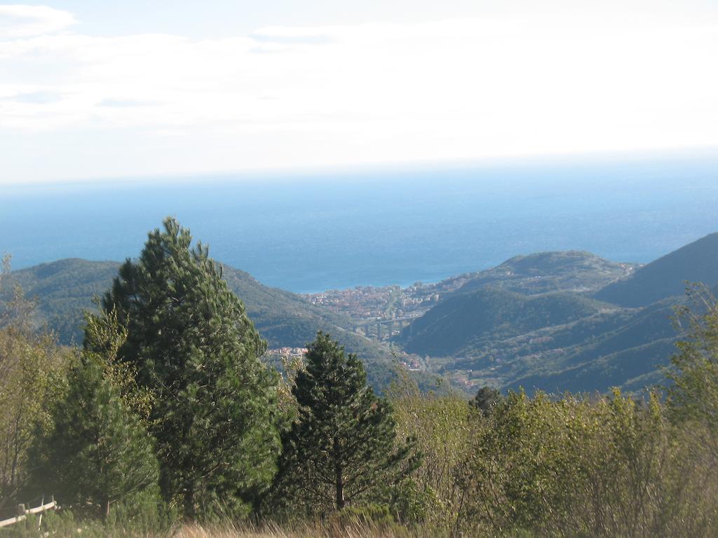 Casa Vacanze L'Agrifoglio Bed & Breakfast Magliolo Eksteriør bilde