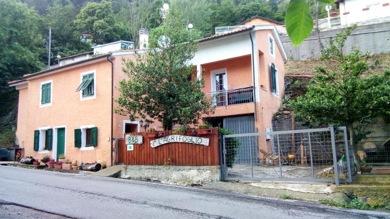 Casa Vacanze L'Agrifoglio Bed & Breakfast Magliolo Eksteriør bilde